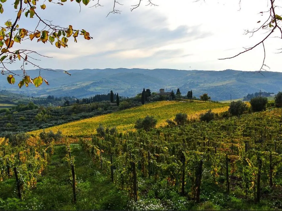 Holiday Home Locazione Turistica Selvapiana By Interhome Greve in Chianti